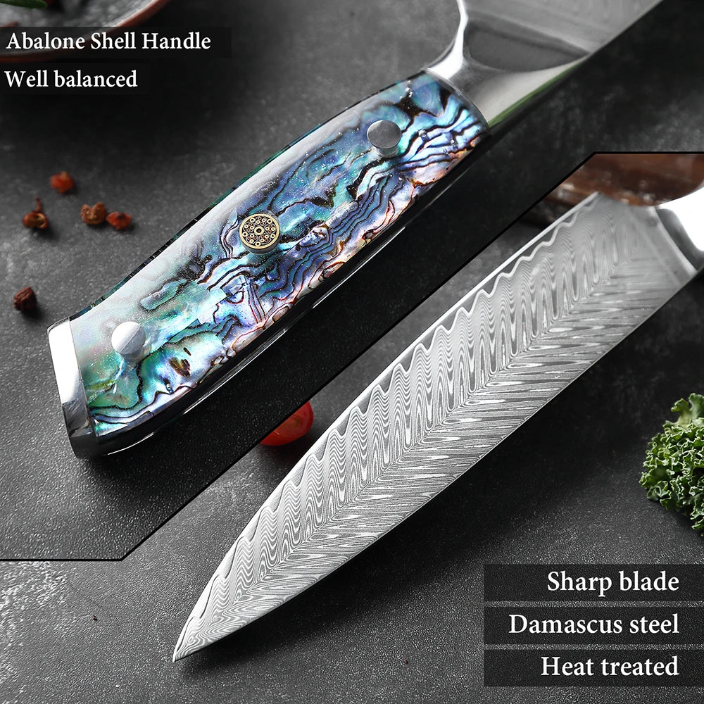 Shell handle Damascus steel