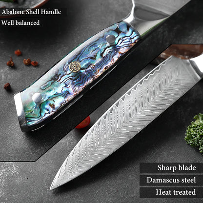 Shell handle Damascus steel